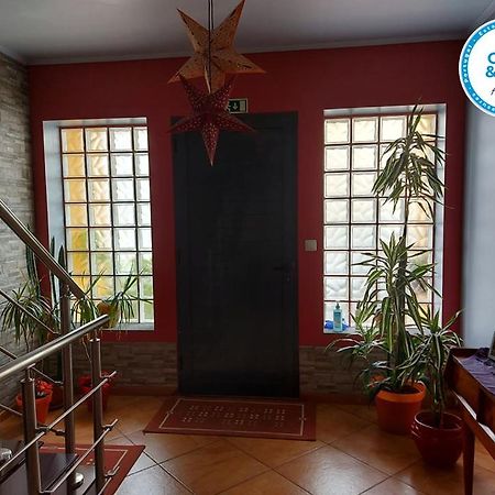 شقة Nelocas House Ponta Delgada المظهر الخارجي الصورة